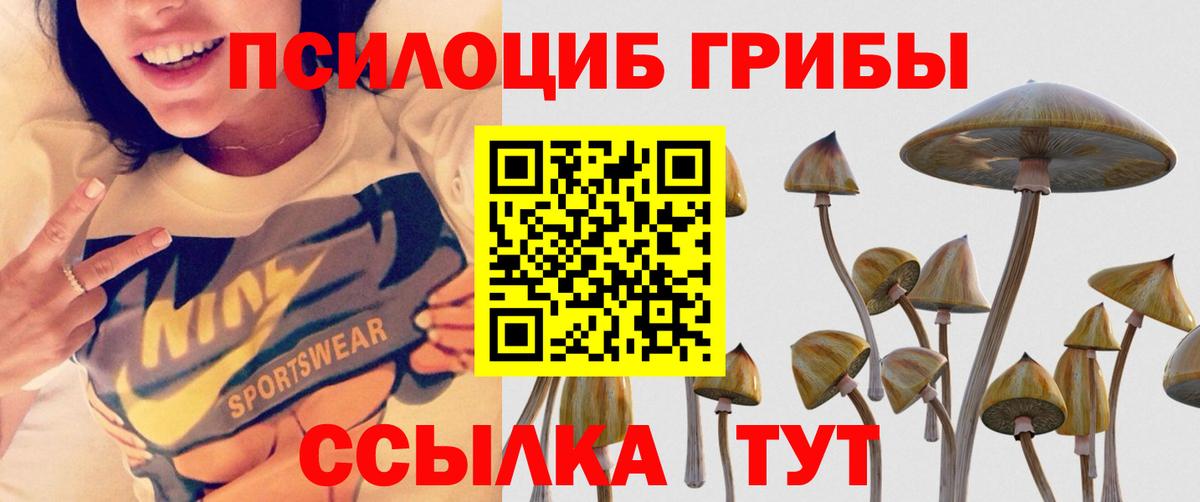 Галлюциногенные грибы GOLDEN TEACHER Усть-Кут